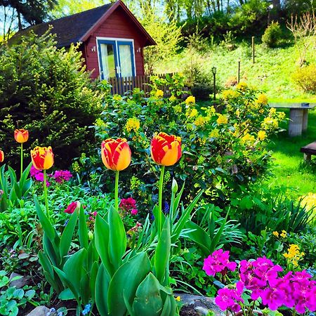 Bed&Breakfast Tvrz Velká Bukovina Exterior foto